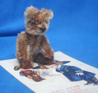 Cute Antique 3.  5 " Miniature Mohair Schuco Teddy Bear Nr