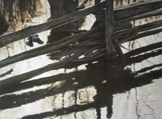 Vtg Art Red Winged Blackbirds Rail Fence Detail Robert Bateman 1976 Water Pond