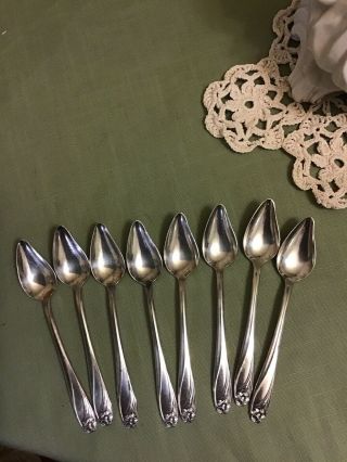 Daffodil Silverplate Grapefruit Spoons 1847 Rogers Bros,  Set Of 8