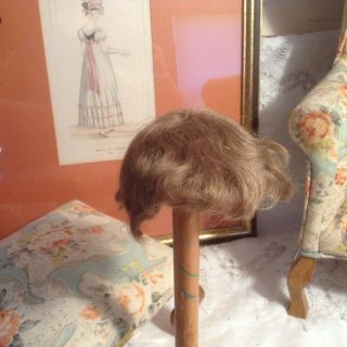 Antique 8 " Circumference Fine Mohair Baby Wig