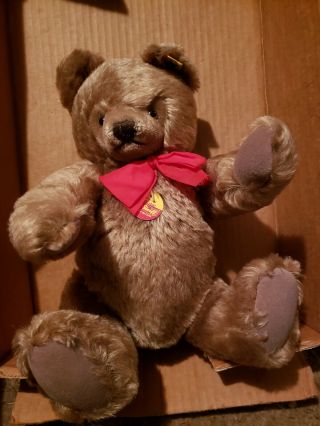 Vintage Steiff Teddy Bear With All Tags And Button 15 " 0202/41