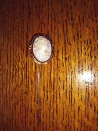 Antique Victorian Cameo Stone Of Woman 