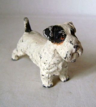 Parson Russell Terrier: Antique Cold Painted Spelter Figure of a Dog C.  1920s 6