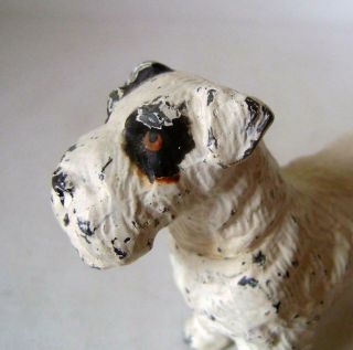 Parson Russell Terrier: Antique Cold Painted Spelter Figure of a Dog C.  1920s 7