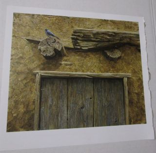 Robert Bateman Art Print Mountain Bluebird at Taos 2003 Raven Roost 2006 Adobe 4