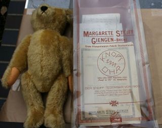 Vintage Margarete Steiff Bear 0153/42 Collectors Edition Authentication Papers