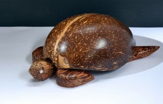 Wonderful Vintage Carved Real Coconut Shell Turtle - Container / Ashtray Inside