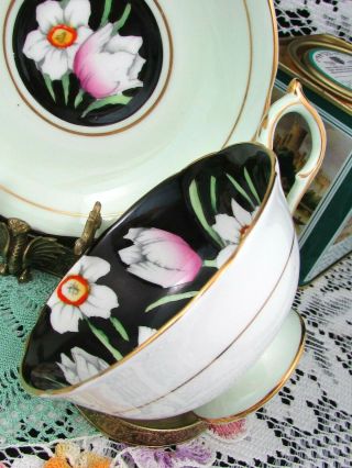 PARAGON TULIP & WHITE FLORAL CHINTZ OVER BLACK TEA CUP AND SAUCER 5