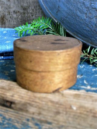 Tiny Early Antique Wood Shaker Pantry Spice Box 2