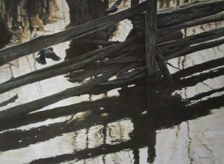 Vtg Art Red Winged Blackbirds Rail Fence Robert Bateman 1976 Water Pond Split
