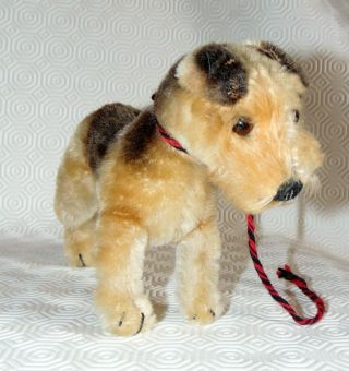 Antique Adorable Steiff Fox Terrirer Brown Dog 7 Inches