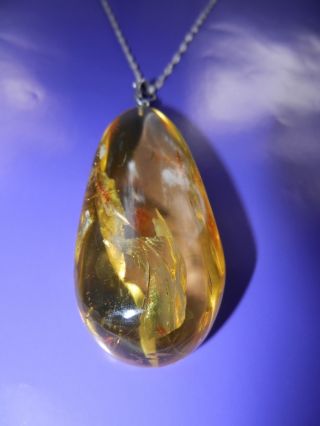 Rare Antique Natural baltic amber BUTTERSCOTCH EGG YOLK pendant Very big 4