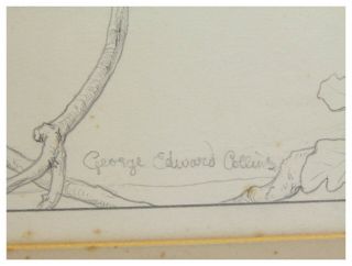 Antique pencil drawing birds singing on a branch by George Edward Collins 6