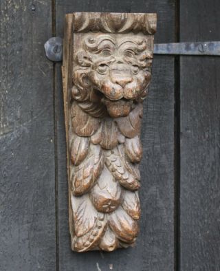 17th Century Carved Oak Lion Head Carving.  Gothic Medieval Flemish