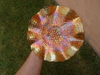 Antique Imperial Carnival Glass Grape 9 " Marigold Ruffled Plate