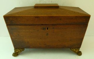 Antique Georgian Sarcophagus Mahogany Wooden Treen Tea Caddy Box Brass Lion Feet