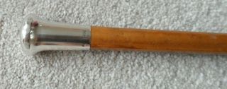 Antique Silver Topped Bamboo Walking Cane.  Hallmarked For London C.  Early 1900s.