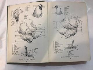 Antique Poultry Book STANDARD OF PERFECTION 1926 How - to - Recognize All Fowls 3