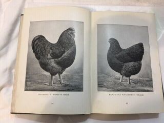 Antique Poultry Book STANDARD OF PERFECTION 1926 How - to - Recognize All Fowls 5
