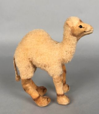 Vintage Steiff Dromedary Camel - 1514,  00 - 6 " Tall 1959 - 67 - No Tags