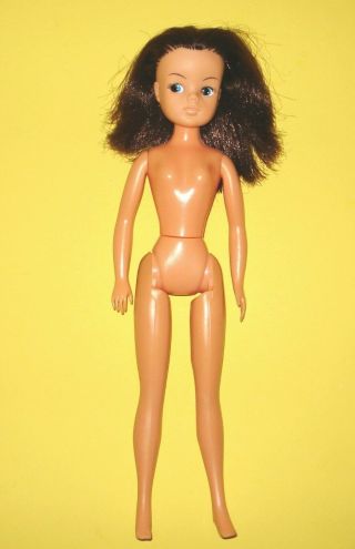 Vintage Pedigree Sindy Doll Basic 1981