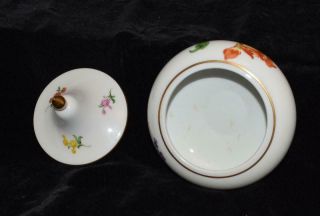 Meissen Covered Sugar Bowl w/ Gold Ball Finial - Wildflower Pattern - Ca 1920 - EXC 7