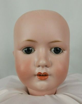 Antique German Moa Max Oscar Arnold For Welsh & Co.  Bisque Doll Head Sleep Eyes