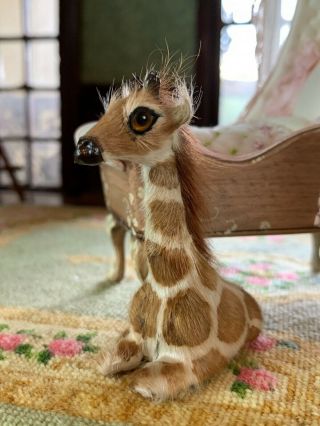 Vintage Miniature Dollhouse Artisan Real Fur Glass Eye Baby Giraffe Nursery 2
