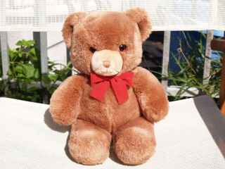 Vintage Gund - Brown Tender Teddy Bear - 13 " - 2124 - 1983 -