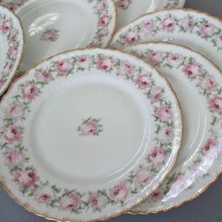 6 Antique Haviland 8 " Porcelain Plates Pink,  White Roses All Around Gilt Trim
