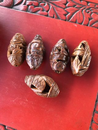 Chinese Exquisite Group Of 5 Olive Dentoliva Hand Carved Amulet Pendent/ Beads