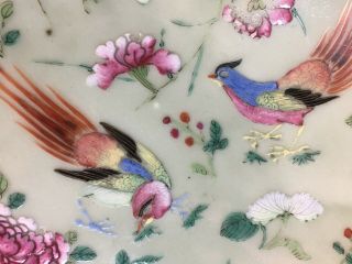 Antique Chinese Famille Rose Celadon Glazed Porcelain Dish Shallow Bowl 5