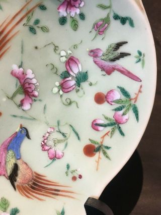 Antique Chinese Famille Rose Celadon Glazed Porcelain Dish Shallow Bowl 6