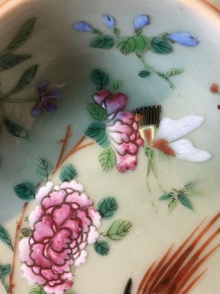 Antique Chinese Famille Rose Celadon Glazed Porcelain Dish Shallow Bowl 7
