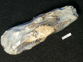 8500y.  O: Wonderful Ax Adze 104mms Danish Stone Age Mesolithic Flint Maglemose C
