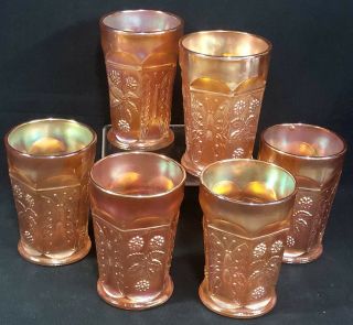 6 Antique Fenton Carnival Glass Marigold Butterfly & Berry 4 " Tumblers Variant