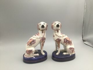 Antique Staffordshire Dogs Pair Pink Luster Rare