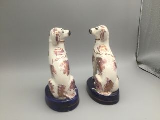 Antique STAFFORDSHIRE DOGS Pair Pink Luster RARE 5