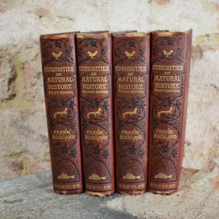 Antique 1883 Frank Bucklands Curiosities Of Natural History 4 Vol Hardback Cloth