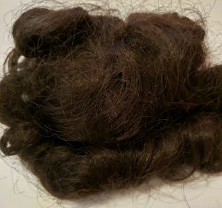 Vintage Doll Wig 12 Human Hair Dark Brown For Antique German French Bisque