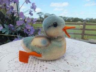 Vintage Antique Mohair Steiff Duck Bird Toy Firm Wood Straw Fill Id 2314,  07 Bear