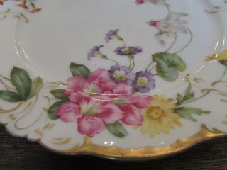 Antique 1800’s Royal Copenhagen Danmark Porcelain Flor Cabinet Plate Gilded 2