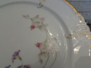 Antique 1800’s Royal Copenhagen Danmark Porcelain Flor Cabinet Plate Gilded 3
