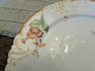 Antique 1800’s Royal Copenhagen Danmark Porcelain Flor Cabinet Plate Gilded 4