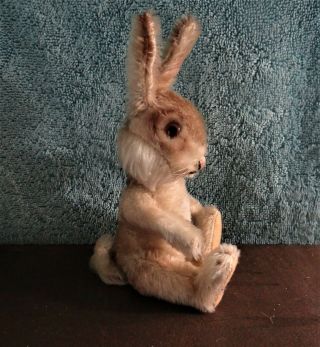 Vintage STEIFF NIKI BUNNY RABBIT 5 way jointed mohair Highly Collectible 4