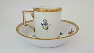 Antique 18th Century Meissen Marcolini Period Floral Cup & Saucer 1774 - 1815 3