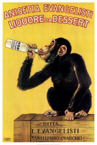 Vintage Liquor Poster Anisetta Evangelisti Liquore Da Dessert Monkey Print 24x36