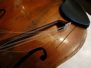 Antique Violin 4/4 Hopf w/vuillaume a paris bone frog bow & case bryant 1919 5