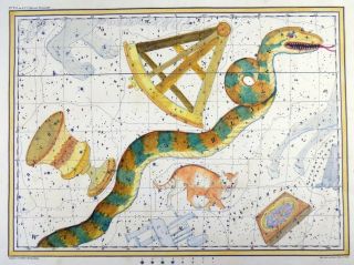 Rarissimum Large Celestial Map Hydra From Atlas By Hoffmann 37 Cm