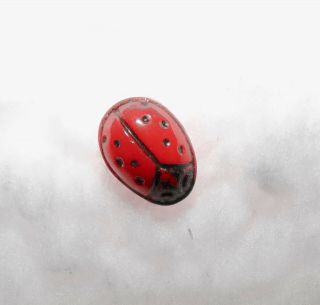 Red Vintage Diminutive Realistic Lady Bug Glass Button 100z